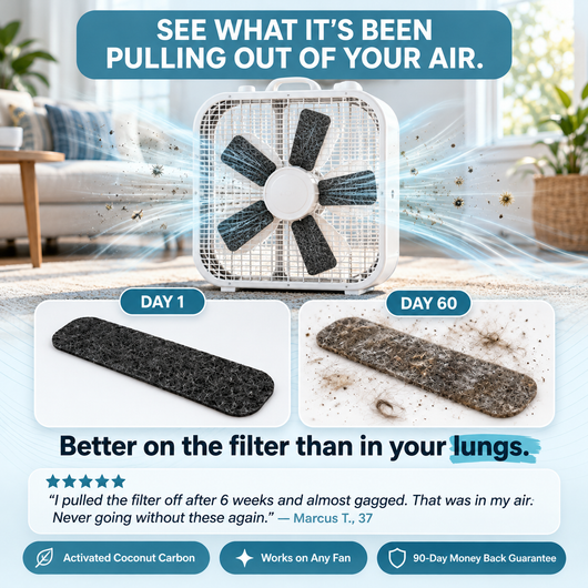 Zelvara PureFlow Fan Filters